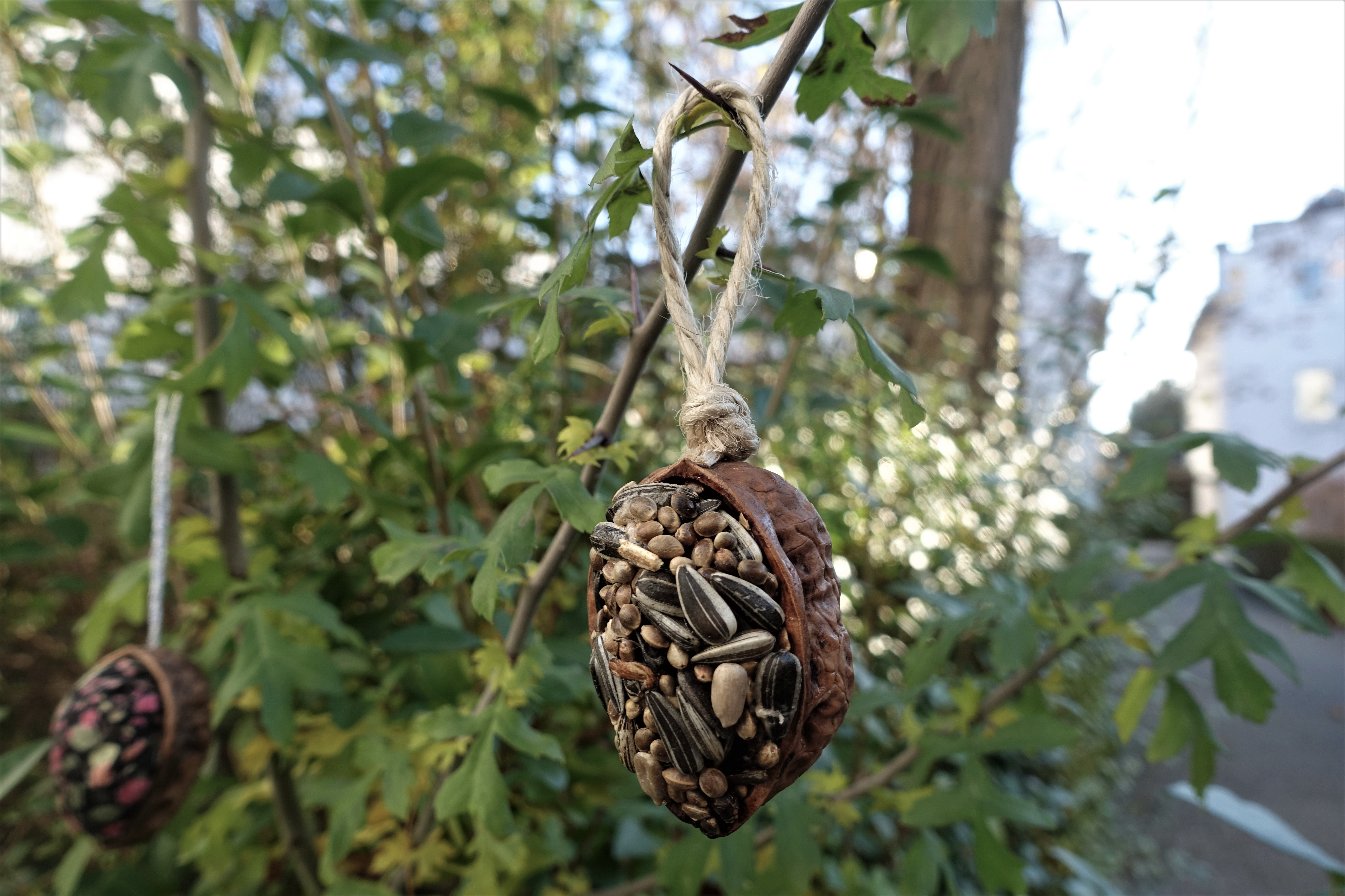 Winter Birds Ornaments