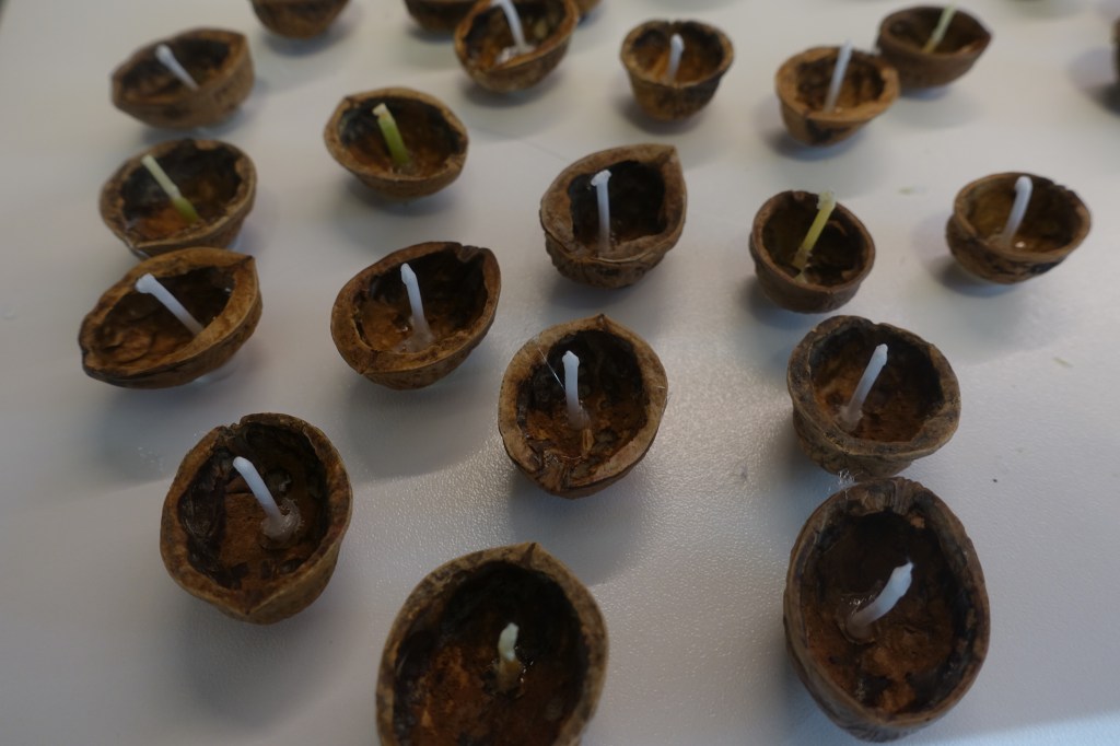 Walnut candles